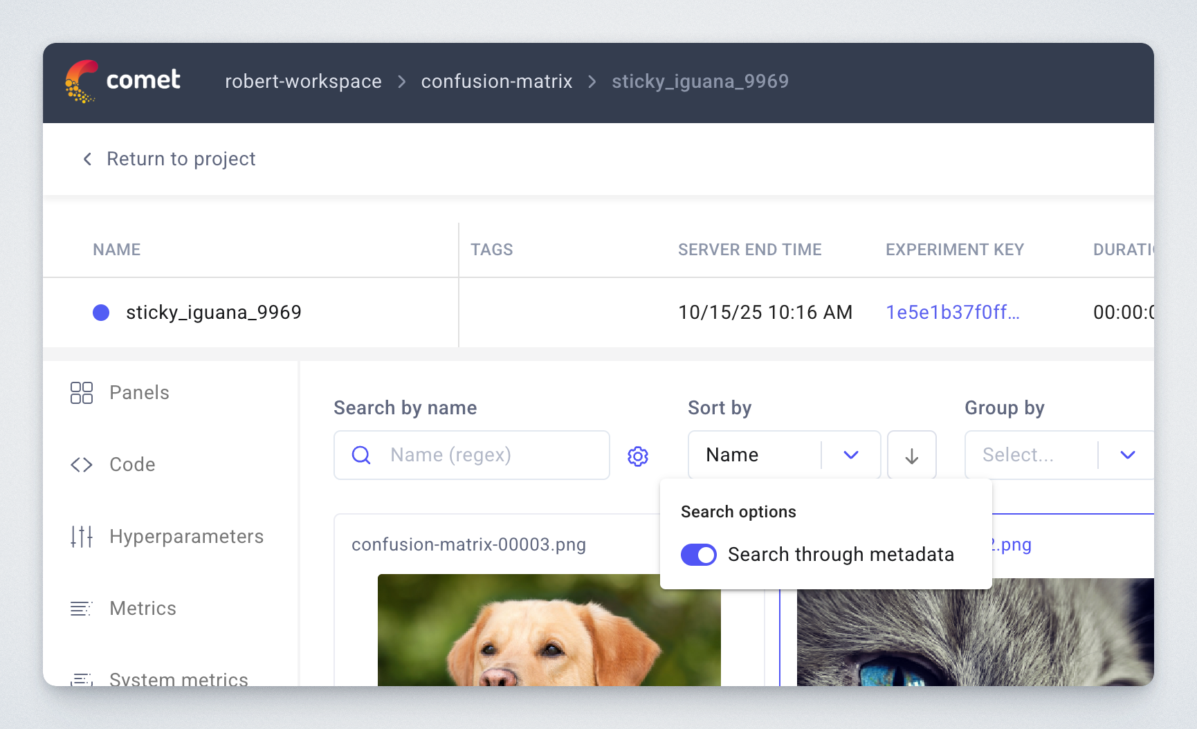 Search with metadata