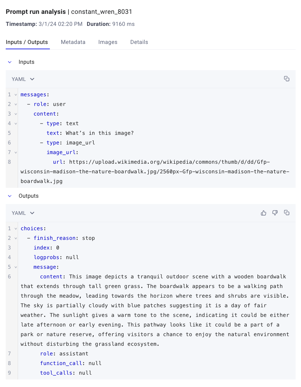The Inputs/Outputs tab of an OpenAI Prompt Run Analysis
