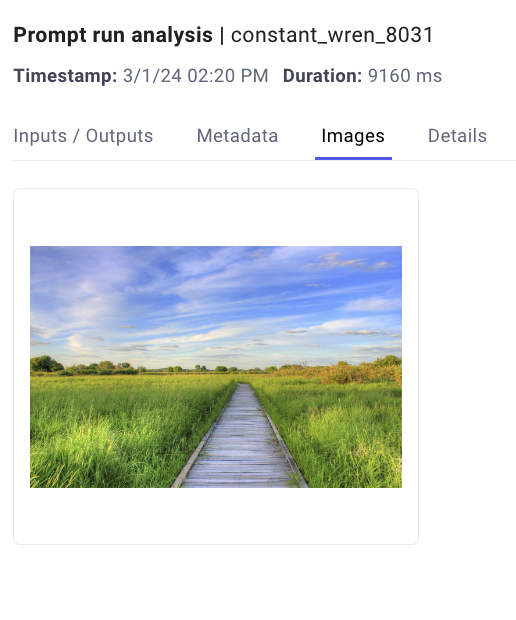 The Images tab of an OpenAI Prompt Run Analysis