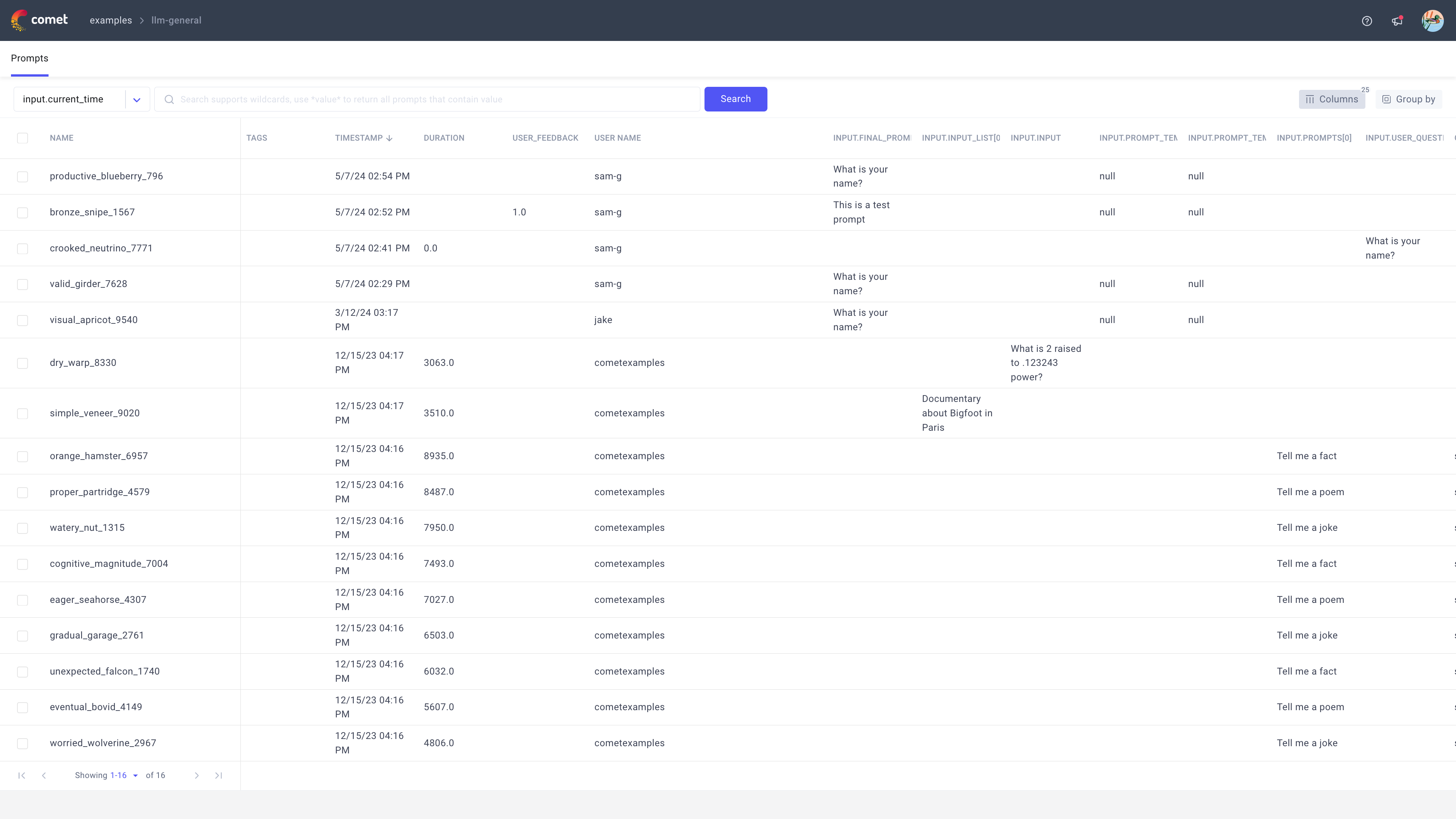 Example LLM Prompts Table