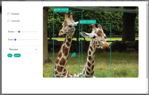 Kangas labeled image of giraffe with bounding boxes
