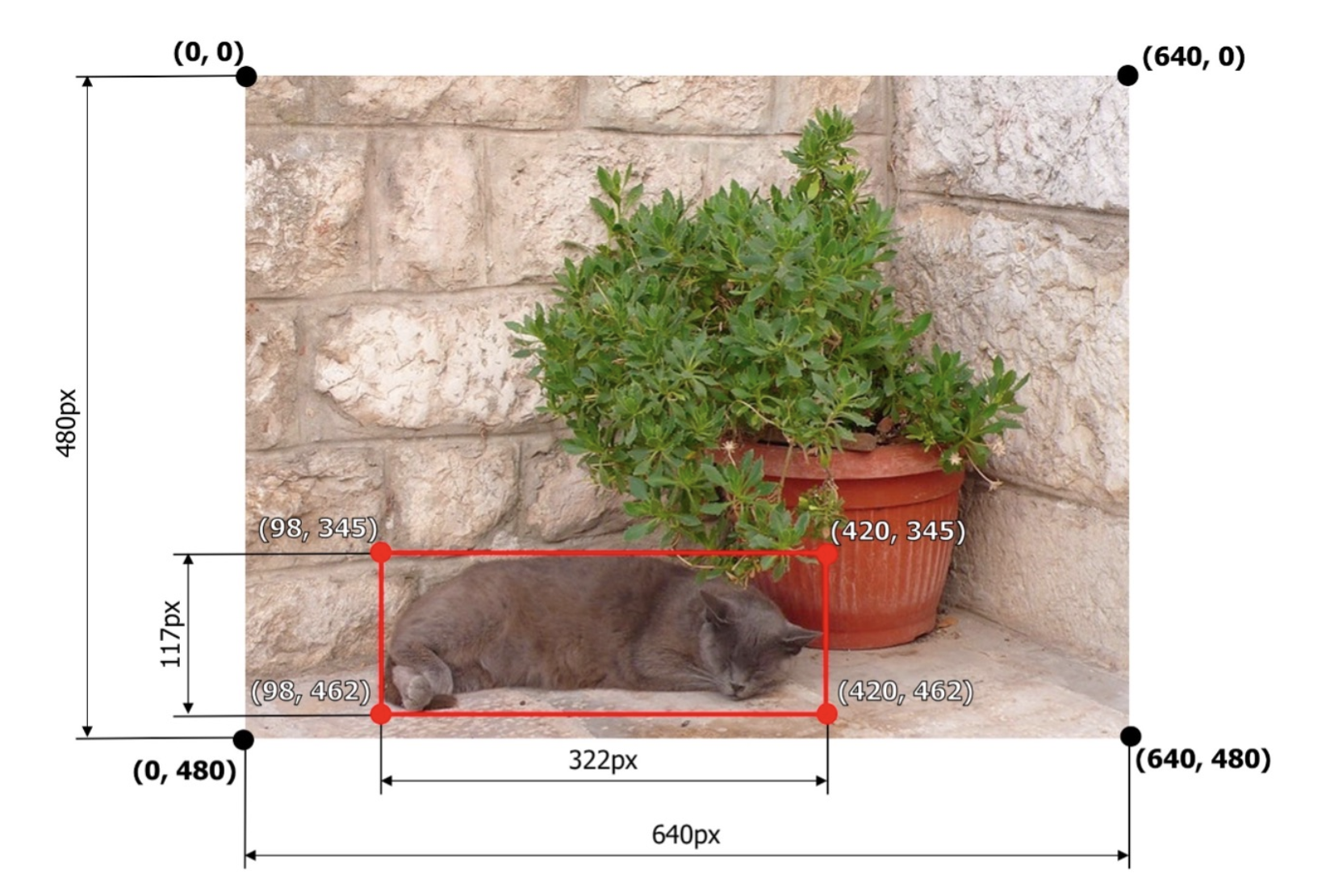 An image of a cat and a potted plant showing different bounding box formats, including COCO, YOLO, Albumentations, and Pascal VOC