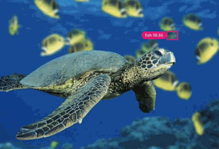 Object detection of sea animals.