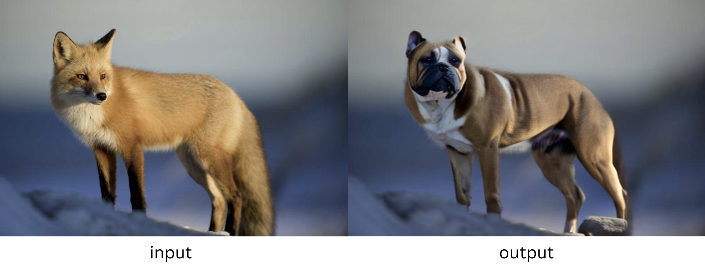 Two images side-by-side. The one of the left is a picture of an orange fox on a snowy hill looking out into the distance and is captioned with word "input." The image on the right is the same image, but generative artificial intelligence has been used to replace the fox with an image of a brown bulldog. The bulldog is realistic, but the viewer can tell it isn't real. Image made with SAM + Stable Diffusion.