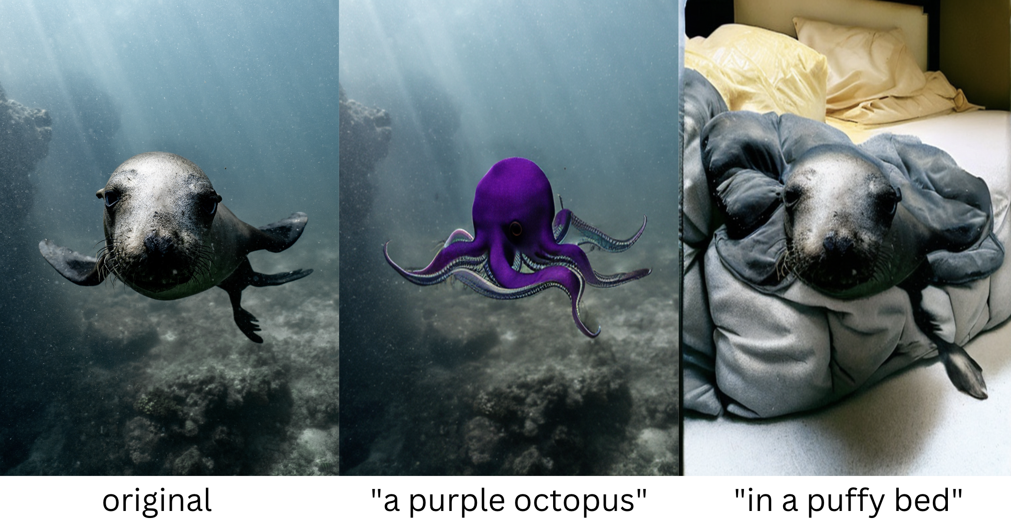Three pictures; on the left, a picture of a seal underwater looking straight at the camera. In the center, the seal has been replaced by a bright purple octopus. On the right, the background has been replaced by a comfortable bed. Image made with with SAM + Stable Diffusion.