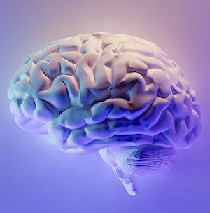 stylized graphic of a brain with a purple and blue gradient background