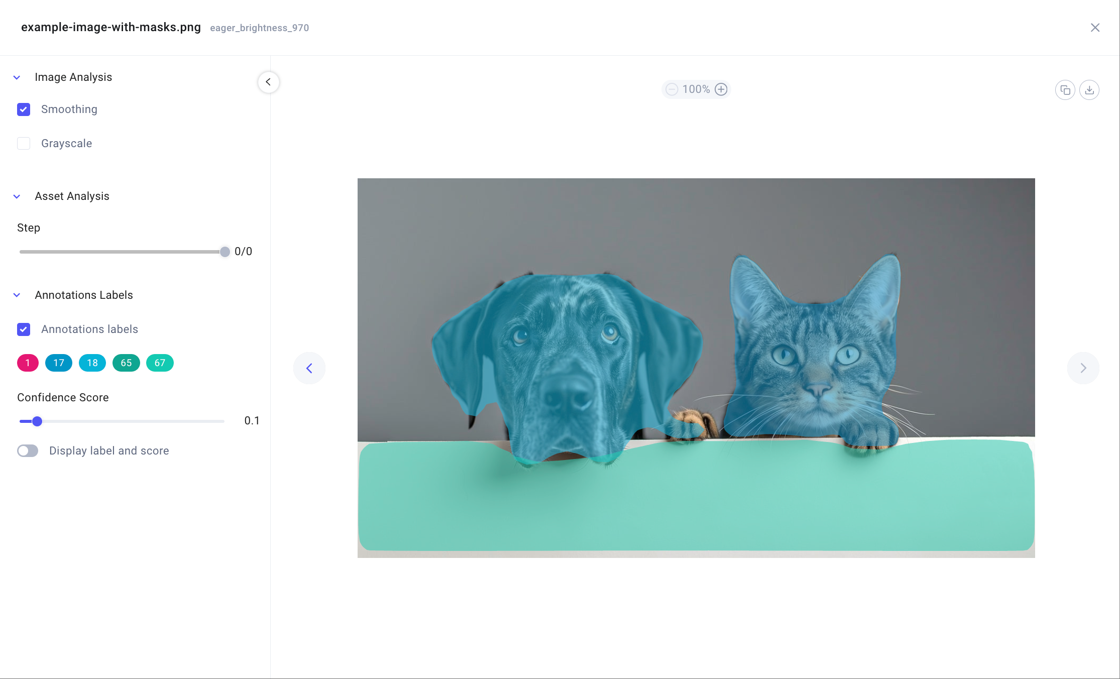 Example Image Panel with regions
