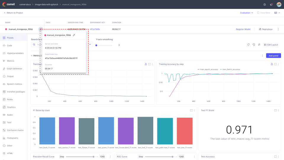 Comet Experiment Management - Single Experiment: Metadata