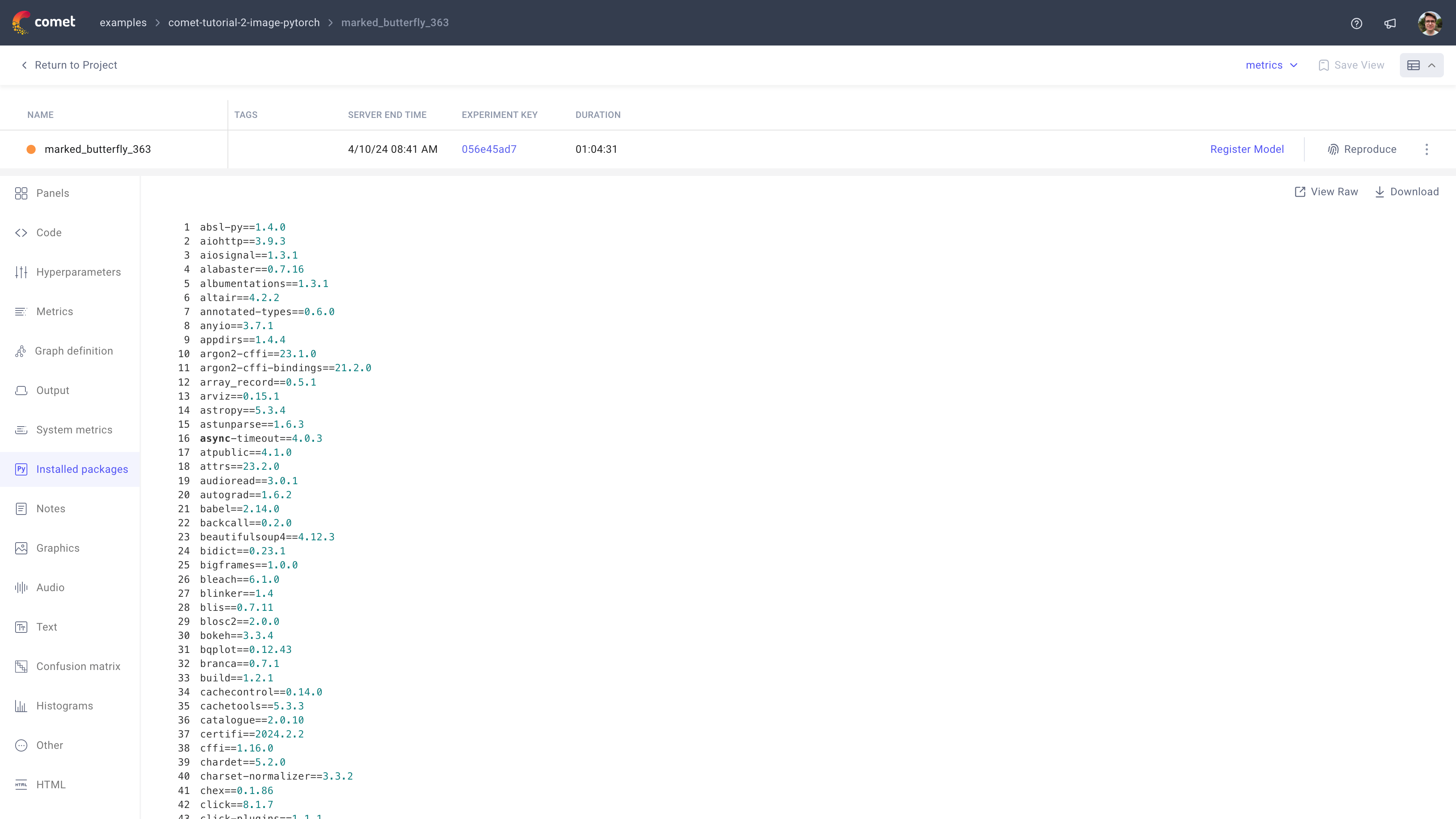 Comet Experiment Management - Single Experiment Page: Installed packaged tab